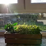 Appartement Hermes Siebengebirge